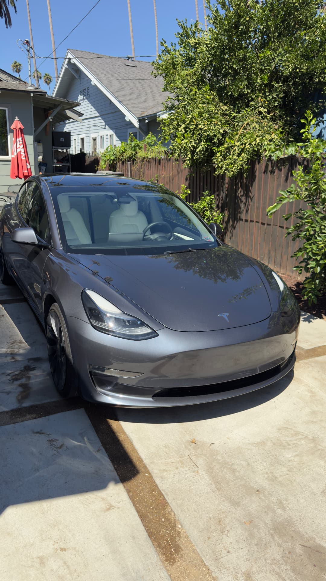 Gray Tesla Model 3 freshly detailed